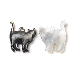 Natural Black Lip Shell Pendants&nbsp;SSHEL-H068-05