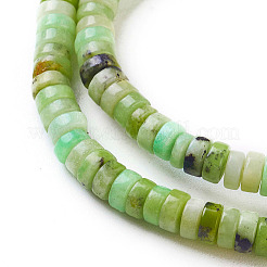 Natural Serpentine Beads Strands&nbsp;G-F576-02