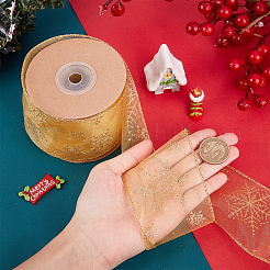 Transparent Single Face Chiffon Ribbon for Christmas&nbsp;OCOR-WH0071-008B