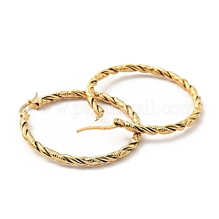 303 Stainless Steel Twist Rope Hoop Earrings with 316 Stainless Steel Pins for Women&nbsp;EJEW-F285-37G
