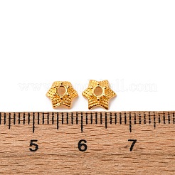 Tibetan Style Bead Caps&nbsp;AA188-G-NR