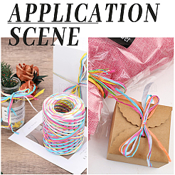 Segment Dyed Raffia Paper Cords for DIY Craft&nbsp;OCOR-WH20020-27C
