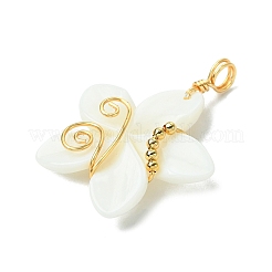 Natural Carved Freshwater Shell Pendants&nbsp;PALLOY-JF03391