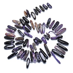 Natural Charoite Beads Strands&nbsp;G-G106-J05-01