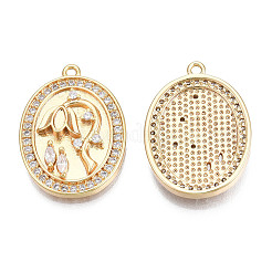 Brass Micro Pave Cubic Zirconia Pendants&nbsp;KK-N216-370