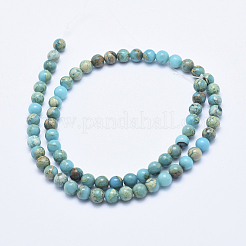 Natural Aqua Terra Jasper Beads Strands&nbsp;G-E444-14A-6mm