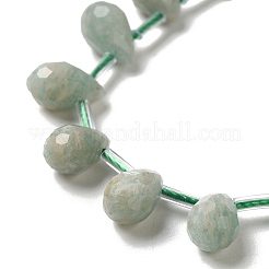 Natural Amazonite Beads Strands&nbsp;G-H297-B07-01