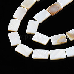 Natural Freshwater Shell Beads Strands&nbsp;X-SHEL-Q024-013