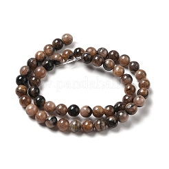 Natural Chiastolite Beads Strands&nbsp;G-F729-02B