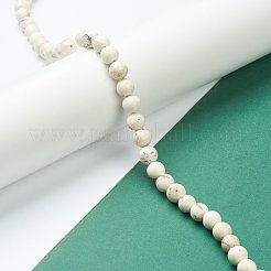 Nrtutal Magnesite Beads Strands&nbsp;G-L575-01C