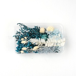 Dried Flower Material Package&nbsp;DIY-WH0257-04
