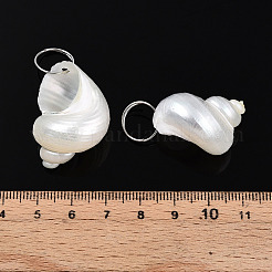 Natural Spiral Shell Pendants&nbsp;X-SHEL-N036-11