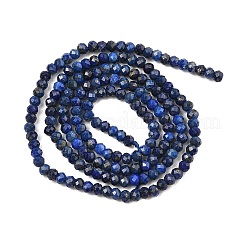 Dyed Natural Lapis Lazuli Beads Strands&nbsp;G-ONLY-T-B05-01