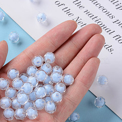 Transparent Acrylic Beads&nbsp;TACR-S152-04A-SS2113