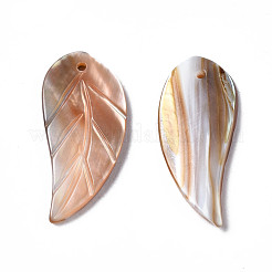 Natural Freshwater Shell Pendants&nbsp;SHEL-N026-146