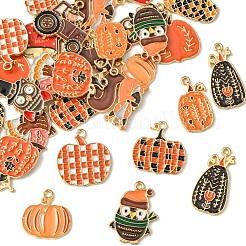 30Pcs 15 Styles Thanksgiving Day Golden Tone Alloy Enamel Pendants&nbsp;ENAM-FS0002-03
