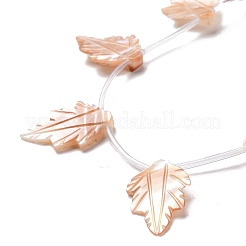 Autumn Theme Natural Sea Shell Beads Strands&nbsp;SSHEL-G023-14