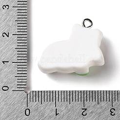 Opaque Resin Pendants&nbsp;RE-CBA3B4E-03
