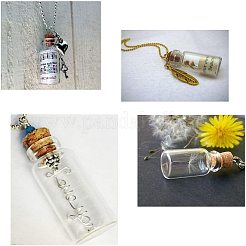 Glass Jar Glass Bottles&nbsp;AJEW-PH0015-02