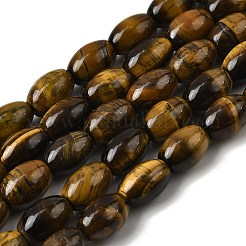 Natural Tiger Eye Beads Strands&nbsp;X-G-A275-A01-8x12mm
