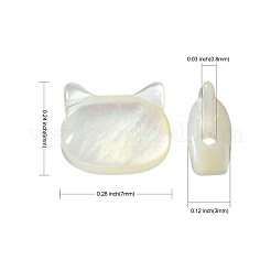 5Pcs Natural White Shell Beads&nbsp;BSHE-CJ0001-07