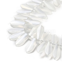 Electroplate Glass Beads Strands&nbsp;EGLA-C005-01A-AB01