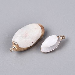 Electroplate Natural Sea Shell Pendants&nbsp;SSHEL-Q100-05KCG-01
