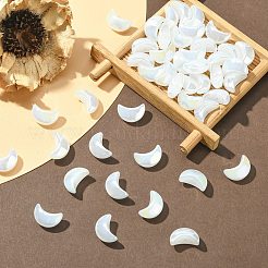 100Pcs Handmade Lampwork Beads&nbsp;LAMP-CJ0001-84