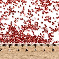 Electroplate Glass Seed Beads&nbsp;SEED-H003-10C