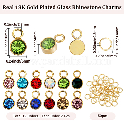 24Pcs 12 Colors Glass Rhinestone Charms&nbsp;DIY-BBC0002-82