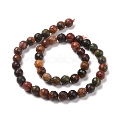 Natural Polychrome Jasper/Picasso Stone/Picasso Jasper Beads Strands&nbsp;G-E571-25B