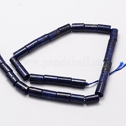 Natural Lapis Lazuli Column Bead Strands&nbsp;G-M264-14