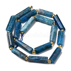 Natural Apatite Beads Strands&nbsp;G-D353-A02