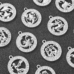 Alloy Pendants&nbsp;FIND-CJC0017-13P