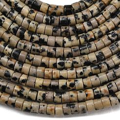 Natural Dalmatian Jasper Beads Strands&nbsp;G-P608-A04-01