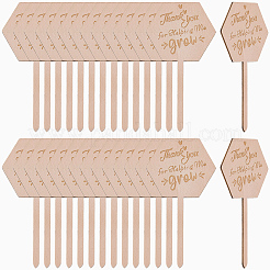 30Pcs Wooden Plant Labels&nbsp;DIY-GF0014-19B