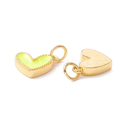 Rack Plating Brass Enamel Charms&nbsp;KK-D073-27G-06