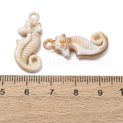 Imitation Shell Acrylic Pendants&nbsp;SACR-K005-03B