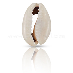 100Pcs Natural Cowrie Shell Beads&nbsp;BSHE-LT0001-08