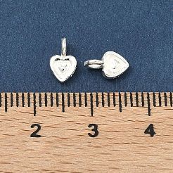 925 Sterling Silver Charms&nbsp;STER-A050-02B-S