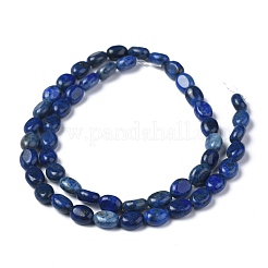 Natural Lapis Lazuli Bead Strands&nbsp;G-Z006-A26