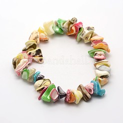 Dyed Natural Spiral Shell Stretch Bracelets&nbsp;BJEW-E267-01