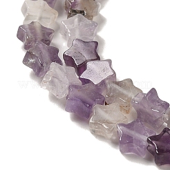 Natural Amethyst Beads Strands&nbsp;G-G085-B01-02