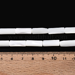 Natural Trochid Shell/Trochus Shell Beads Strands&nbsp;BSHE-T014-06A