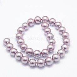 Shell Pearl Beads Strands&nbsp;BSHE-E008-8mm-01