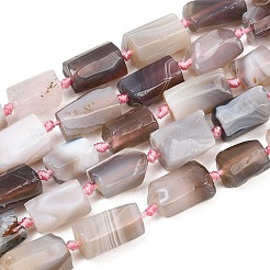 Natural Botswana Agate Beads Strands&nbsp;G-A314-A01-01