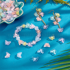 240Pcs Transparent Acrylic Beads&nbsp;MACR-PH0001-74