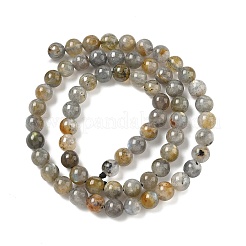 Natural Labradorite Beads Strands&nbsp;G-U017-6mm-01-A