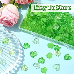100G 5 Styles Transparent Acrylic Pendants&nbsp;TACR-YW0002-14