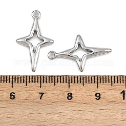 304 Stainless Steel Pendants&nbsp;STAS-L303-17P